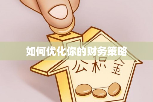 犍为如何优化你的财务策略