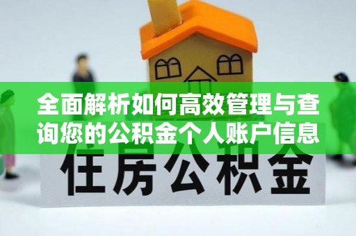 犍为全面解析如何高效管理与查询您的公积金个人账户信息