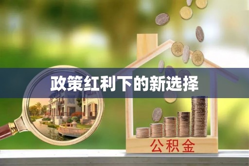 犍为政策红利下的新选择